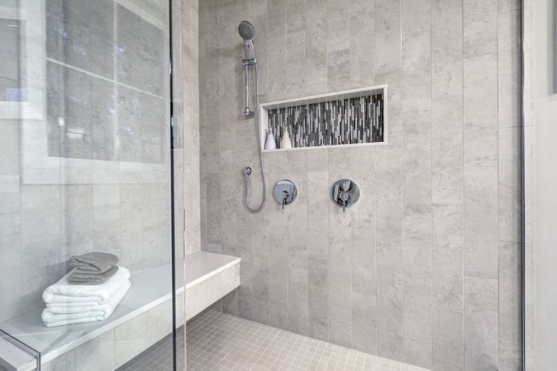 Minimalist Shower with Built-in Niche